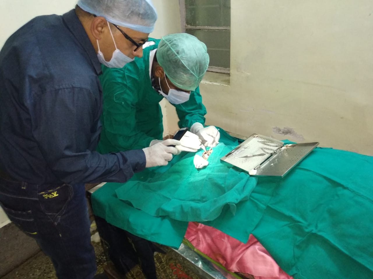 Donation Image 19